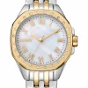 DKNY BROOKLYN MINI UR DAME TO FARVET - DK1L013M0085