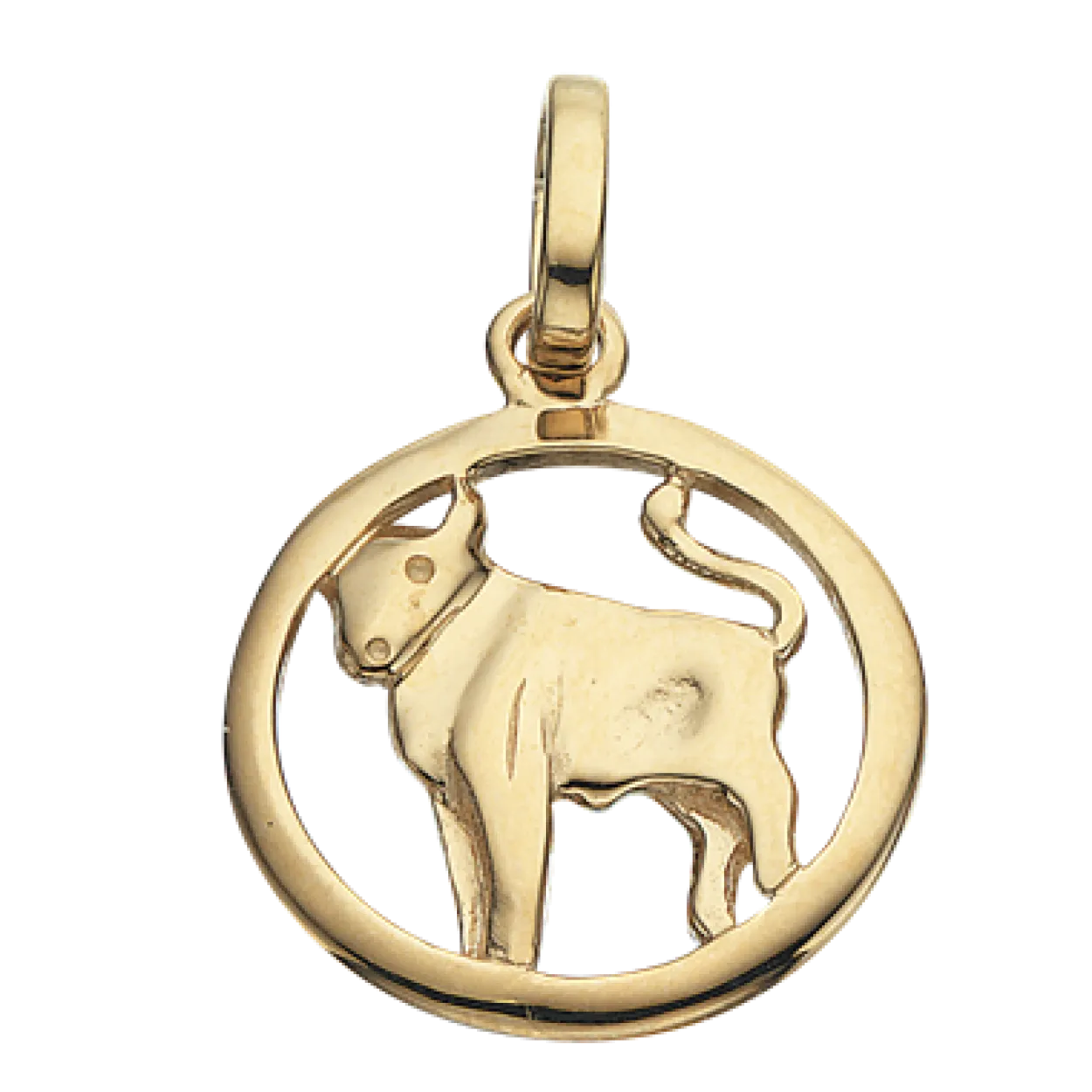 SCROUPLES STJERNETEGN TYREN 8 KARAT GULD - 3203-05