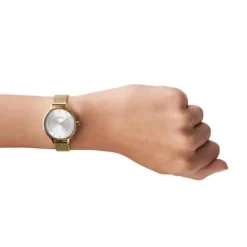SKAGEN ANITA LILLE DAME UR GULDFARVET MED MESH LÆNKE - SKW2150